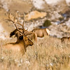 Photo taken by: Roaddog52